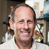 David A. Leib, PhD